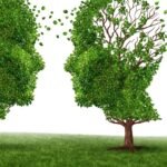 Caring for the elderly