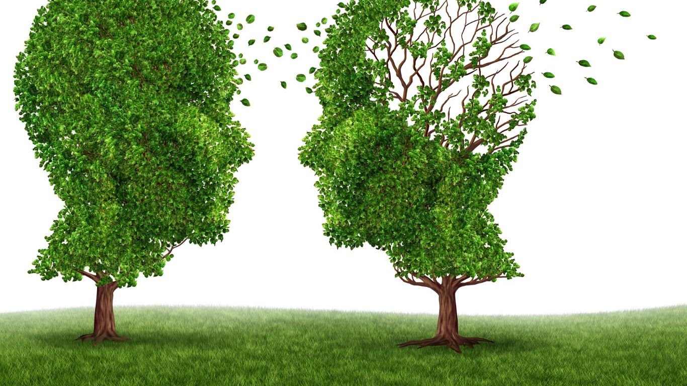 Caring for the elderly