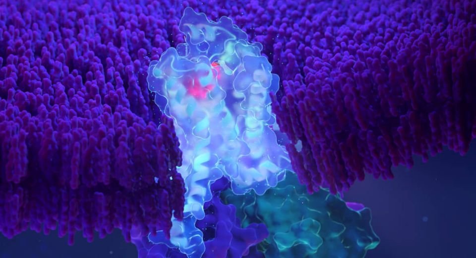 Eli Lilly and Company will acquire SiteOne Therapeutics, Inc. for $1 billion to get access to an inhibitor that may cure chronic pain without using opioids.