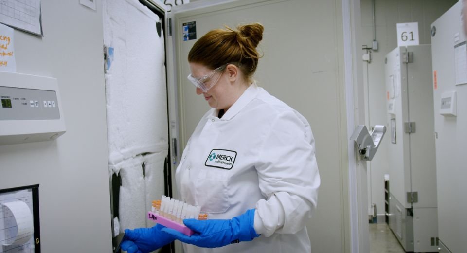 Merck Animal Health will invest $895 million in its US facility to develop novel parasiticides and therapeutics, and expand, filling and freeze dryer capacity, according to a company statement.
