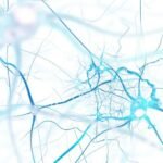 Nuravax Inc. and its partner, the Institute for Molecular Medicine, have received a $3 million grant from the National Institutes of Health to advance its Alzheimer’s vaccine to human trials.