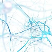 Nuravax Inc. and its partner, the Institute for Molecular Medicine, have received a $3 million grant from the National Institutes of Health to advance its Alzheimer’s vaccine to human trials.