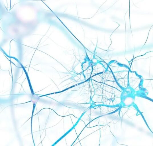 Nuravax Inc. and its partner, the Institute for Molecular Medicine, have received a $3 million grant from the National Institutes of Health to advance its Alzheimer’s vaccine to human trials.