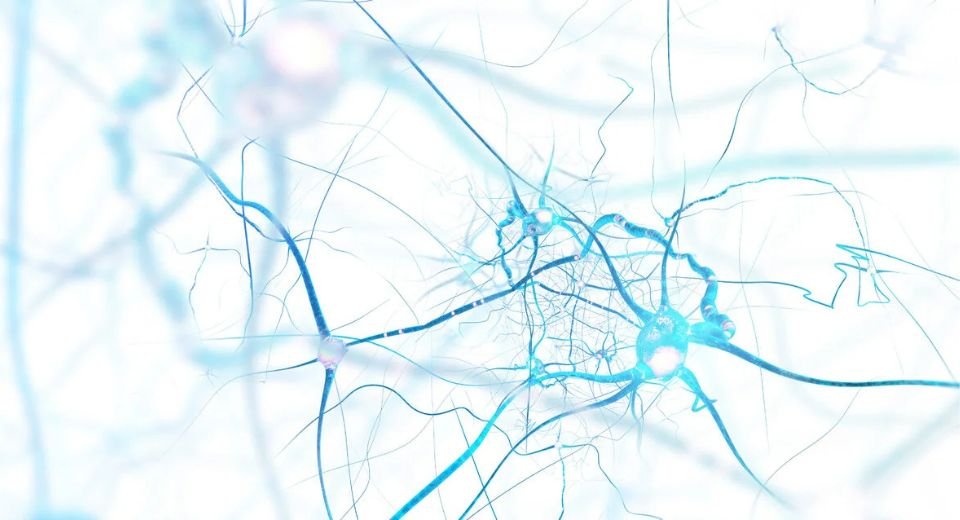 Nuravax Inc. and its partner, the Institute for Molecular Medicine, have received a $3 million grant from the National Institutes of Health to advance its Alzheimer’s vaccine to human trials.