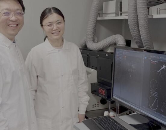 Stanford University researchers have developed a gene-editing technology, which they hope will lead to treatments for neurological diseases as well as traumatic injury.