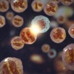 British-Swedish AstraZeneca Plc’s medicine used for adults with chronic obstructive pulmonary disease has been approved in the UK with a new propellant suited for the environment.