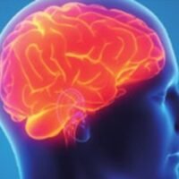 A group of US professors has developed a method to accurately diagnose and treat traumatic brain injuries, providing more rigorous care and preventing premature discussions about halting life support.