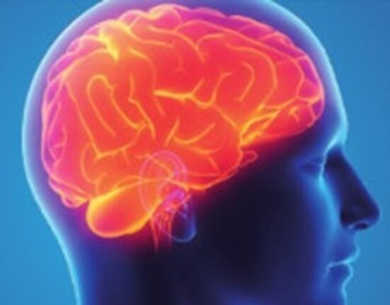 A group of US professors has developed a method to accurately diagnose and treat traumatic brain injuries, providing more rigorous care and preventing premature discussions about halting life support.