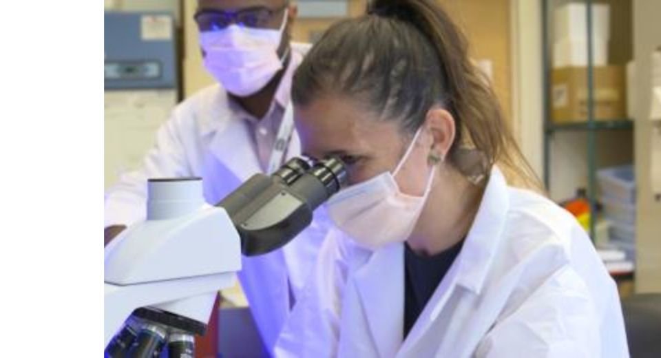 The US drug regulator has announced an immediate review of new clinical trials that involve sending American citizens’ living cells to China and other “hostile countries” for the fear of genetic data misuse.