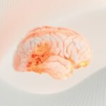 Billionaire Elon Musk’s Neuralink has raised $650 million in Series E funding from key investors and its clinical trials for brain implant devices have started in three countries.