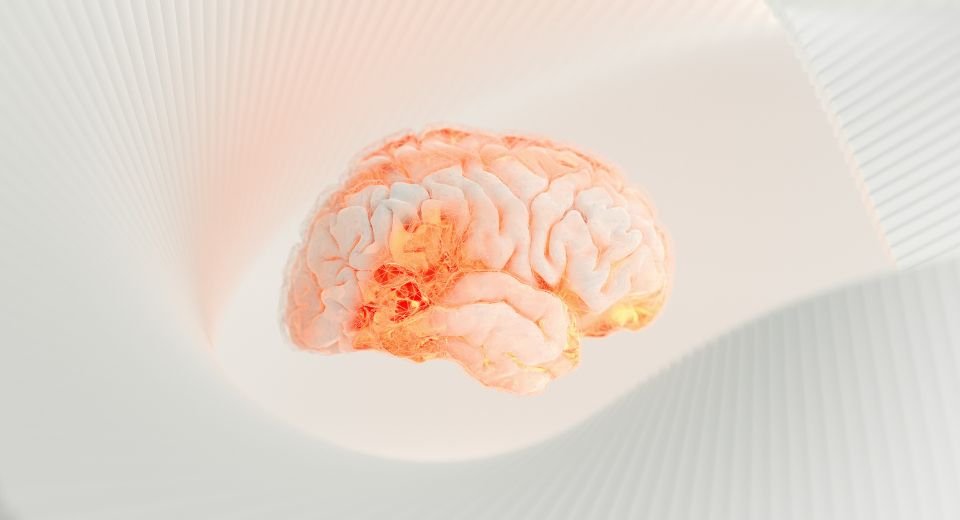 Billionaire Elon Musk’s Neuralink has raised $650 million in Series E funding from key investors and its clinical trials for brain implant devices have started in three countries.