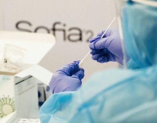 The two hypothetical origins of the Covid-19 pandemic, namely the animal-to-human transmission and a laboratory leak, remain on the table as more information is needed to fully evaluate both, according to the World Health Organization.