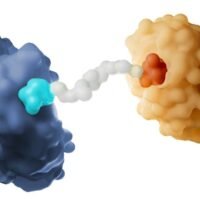 Gilead Sciences and Kymera Therapeutics have signed a $750 million license agreement to develop a new cancer medicine to treat breast cancer and other solid tumours. 