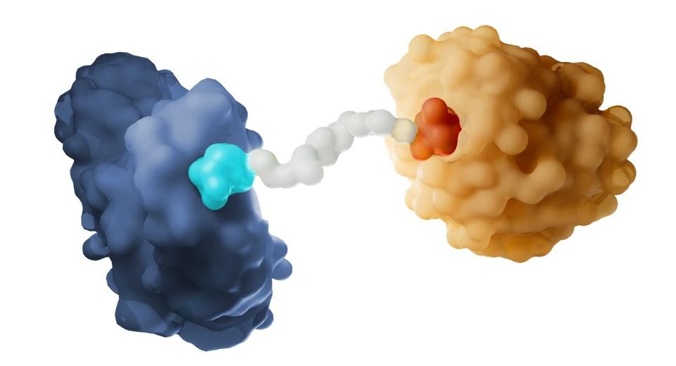 Gilead Sciences and Kymera Therapeutics have signed a $750 million license agreement to develop a new cancer medicine to treat breast cancer and other solid tumours. 