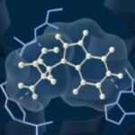 Denmark’s Novo Nordisk A/S and US-based Deep Apple Therapeutics Inc. signed an $812 million agreement to develop an oral small molecule targeting cardiometabolic diseases, such as obesity.