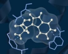Denmark’s Novo Nordisk A/S and US-based Deep Apple Therapeutics Inc. signed an $812 million agreement to develop an oral small molecule targeting cardiometabolic diseases, such as obesity.