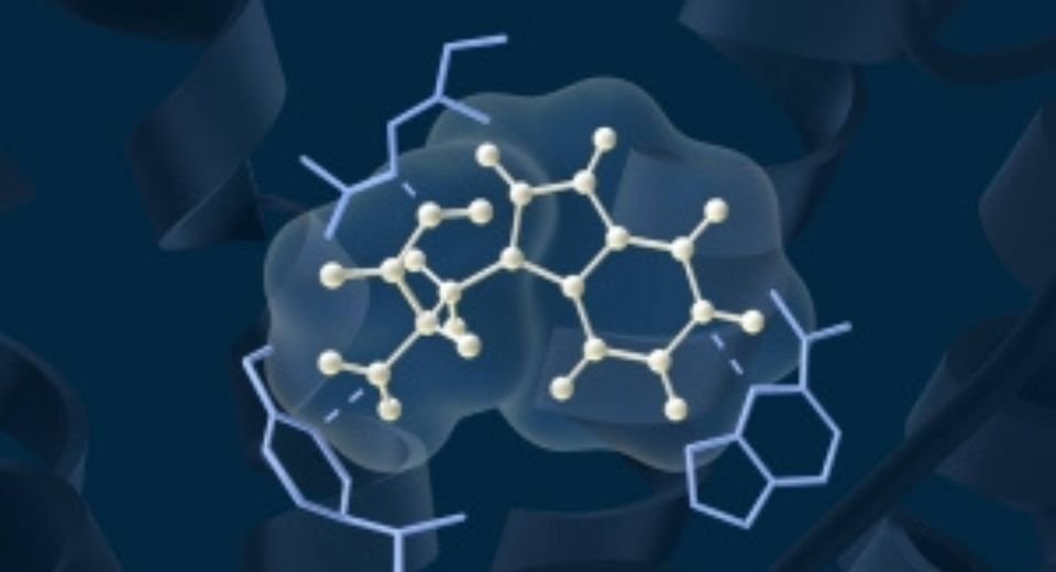 Denmark’s Novo Nordisk A/S and US-based Deep Apple Therapeutics Inc. signed an $812 million agreement to develop an oral small molecule targeting cardiometabolic diseases, such as obesity.
