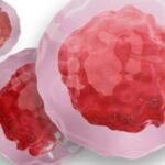 Novavax Inc.’s investigational vaccine that protects against both Covid-19 and seasonal flu in a single shot has generated a “strong immune response” during end-stage trials, the company stated.