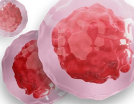 Novavax Inc.’s investigational vaccine that protects against both Covid-19 and seasonal flu in a single shot has generated a “strong immune response” during end-stage trials, the company stated.