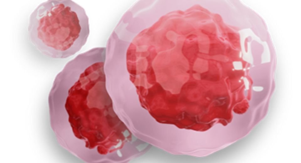 Novavax Inc.’s investigational vaccine that protects against both Covid-19 and seasonal flu in a single shot has generated a “strong immune response” during end-stage trials, the company stated.