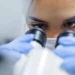 The US Food and Drug Administration cleared PTC Therapeutics’ sepiapterin for treating children and adults with a rare genetic condition where the body cannot break down a part of protein called phenylalanine, which comes from foods like meat, eggs, and milk.