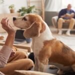 Dog with a family