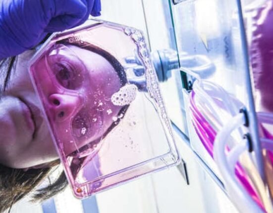 Swedish-British AstraZeneca Plc. plans to build a new facility in the US to manufacture drug components for weight management and metabolism, and invest $50 billion in the country over five years.