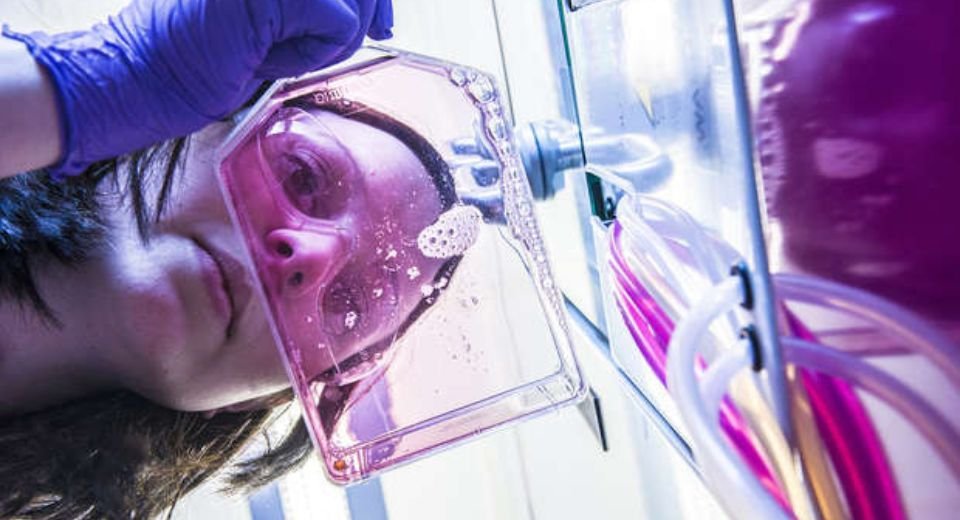 Swedish-British AstraZeneca Plc. plans to build a new facility in the US to manufacture drug components for weight management and metabolism, and invest $50 billion in the country over five years.