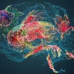 Artificial intelligence platforms for psychiatric patients are showing a pattern of racial bias by proposing different treatments for people of colour, a small Cedars-Sinai study finds.