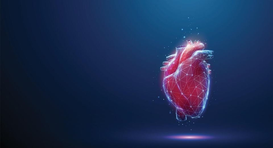 A new artificial intelligence model developed by researchers at Johns Hopkins University can predict whether a patient is likely to experience a cardiac arrest much better than doctors, who rely on limited clinical symptoms.