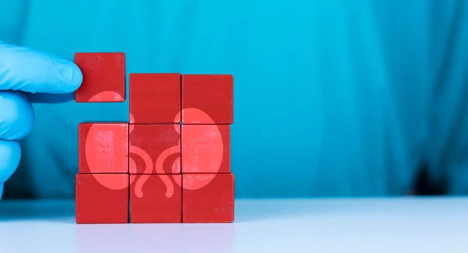 The US Food and Drug Administration has approved Apellis Pharmaceuticals, Inc.’s medicine for treating two rare and serious kidney diseases.