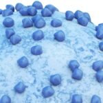 Gilead Sciences, Inc., will acquire Ouro Medicines, a privately held biotechnology company focused on developing T cell engager therapies for autoimmune diseases, for $2 billion, according to a statement. 