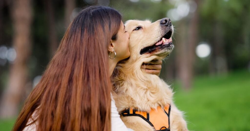 Environmental factors affecting dog health and wellbeing - HealthQuill