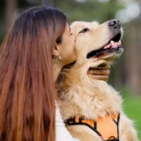 Dog's suffer from stress, local ecology and chemicals