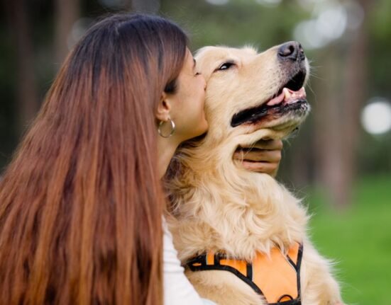 Dog's suffer from stress, local ecology and chemicals