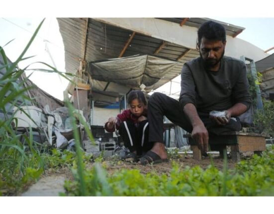 In conflict-ridden Gaza, just 3% of cropland remains usable as Israeli troops pound the region with air strikes and shelling, limiting access to agricultural land and putting pressure on food security, according to the United Nations' FAO.