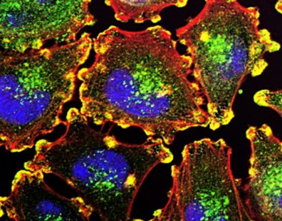 Australia's Telix Pharmaceuticals will buy ITM Isotope Technologies Munich SE for an upfront payment of $1.65 billion on a cash- and debt-free basis to pocket the Germany-based company’s therapeutic radioisotopic solutions.