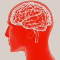 American pharmaceutical company Johnson & Johnson’s investigational drug met its main goal during end-stage trials for the treatment of manic episodes in adults with bipolar I disorder, according to the company.